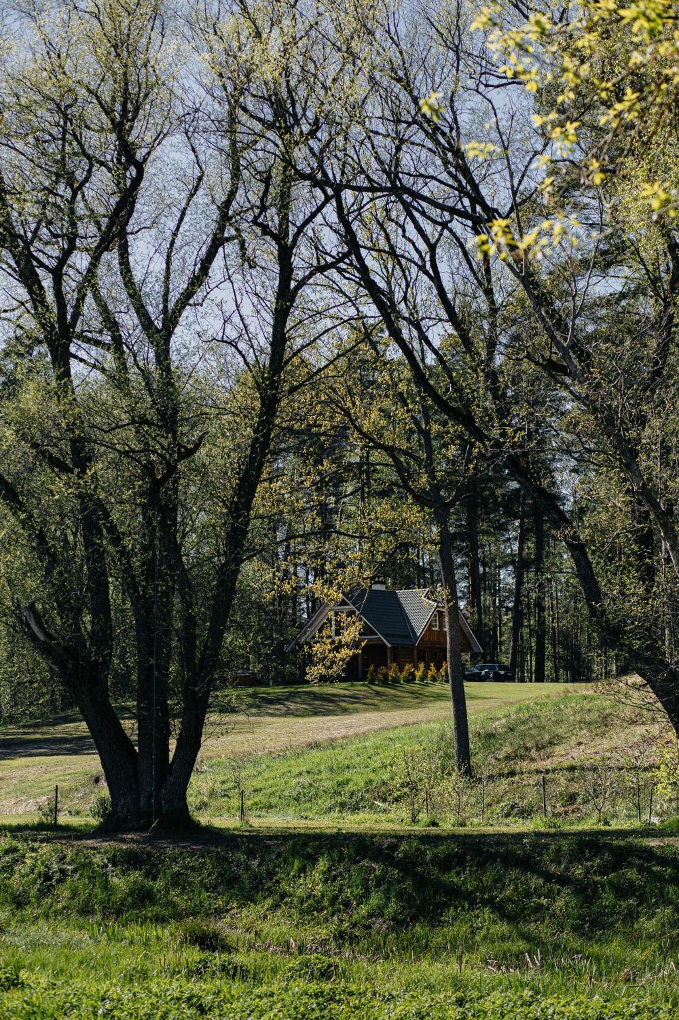 "Gaujmale" Sauna House In Nature Laukbeitini Exterior photo
